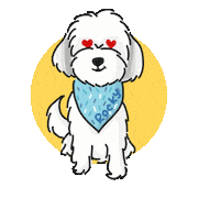 Doodlesbyaishu Sticker