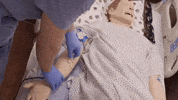 student nursing purdue hhs GIF