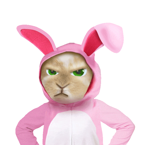 Chill Out No Sticker by chris timmons