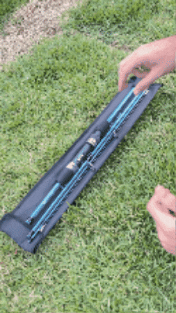 GIF Animado