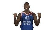anadolu efes basketball Sticker by EuroLeague