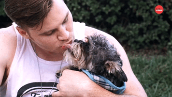 Dogs Kiss Their Humans In Slow Motion