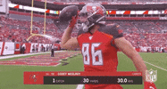 Regular Season Football GIF by NFL