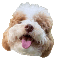 Happy Dog Sticker