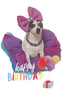 Lucythedog Sticker by Caravan of Paws
