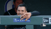Major League Baseball Sport GIF by MLB