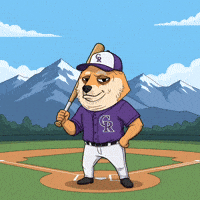 Shiba Inu Baseball GIF by Doge Pound