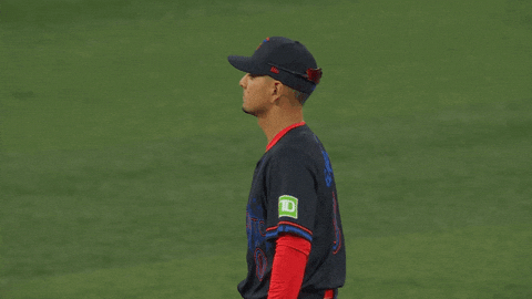 Blue Jays Baseball GIF by Toronto Blue Jays