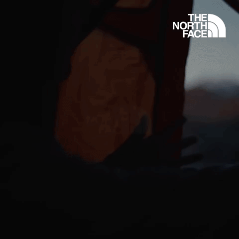 Have You Ever - The North Face