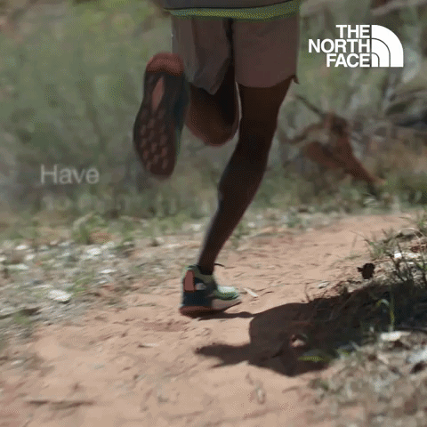 Have You Ever - The North Face