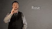 sign language asl GIF by Sign with Robert