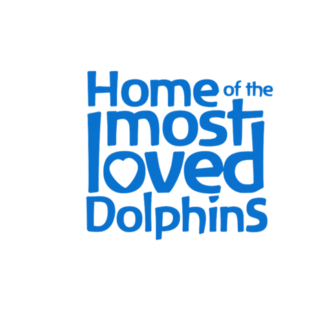 Isla Mujeres Experience Sticker by Dolphin Discovery