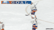 Celebrate Ice Hockey GIF by NHL
