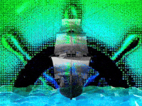 Surfing Netscape GIF by The LSD Hotel