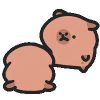 Capybara No Sticker by sansanplanet