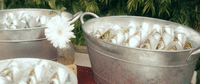food table evite GIF