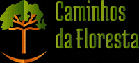 caminhosdafloresta cf GIF