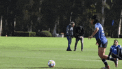 futbol celebrar GIF by Selección Argentina