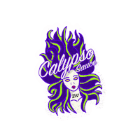 Hot Sauce Sticker by Zesti