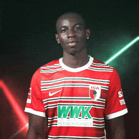 Bundesliga Yes GIF by FC Augsburg 1907