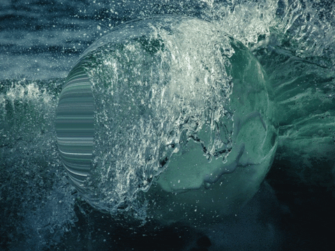 You Can Wow GIF by FranchiseONE.de