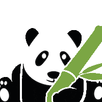 gopandoo wink panda bamboo cute panda Sticker