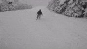 Ski Aaron GIF