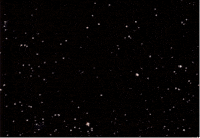 star wars holiday special wtf GIF