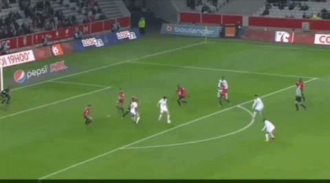 petahouse  GIF