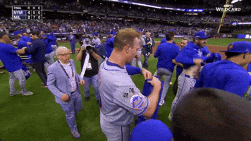 Celebrate New York Mets GIF by MLB