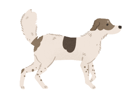 Animated Sticker