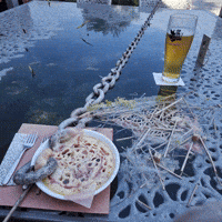 Bg Veo GIF by Aleksey Efremov