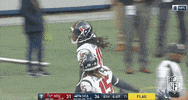 Deandre Hopkins Football GIF by NFL