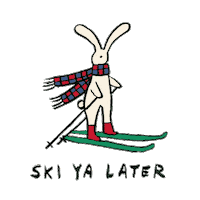 ski ya later Sticker