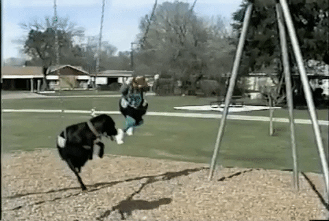 swing GIF by AFV Pets