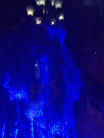 johnchadwick  GIF