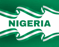 Miss Cosmo Nigeria GIF