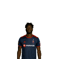 Chicago Fire Reaction Sticker by Chicago Fire Football Club