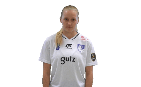 Floorball Salibandy Sticker by F-liiga