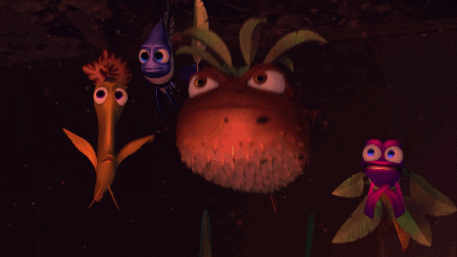 finding nemo GIF by Disney Pixar