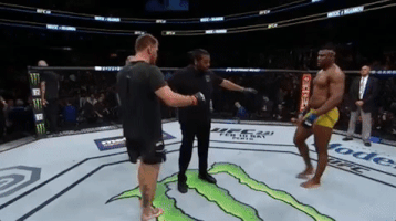 ufc 220 mma GIF by UFC