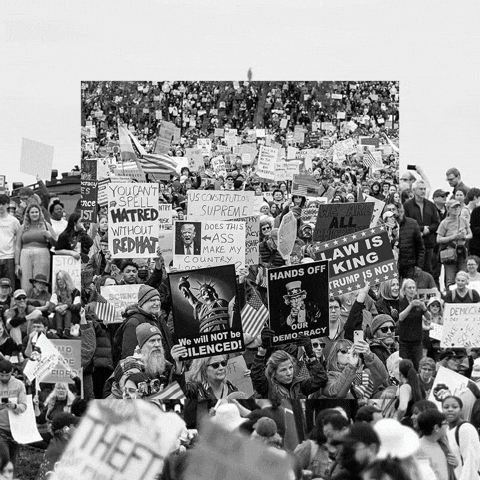 Organize Human Rights GIF by Creative Courage