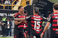 Flamengo GIF