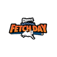 Nfd Fetch Sticker by Chuckit!