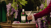 Joe Jonas Netflix GIF by Tanqueray