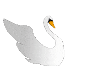 WHZ_SKM swan zwickau whz hochschulezwickau Sticker