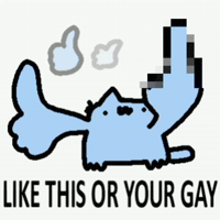 Spainnubcat GIF