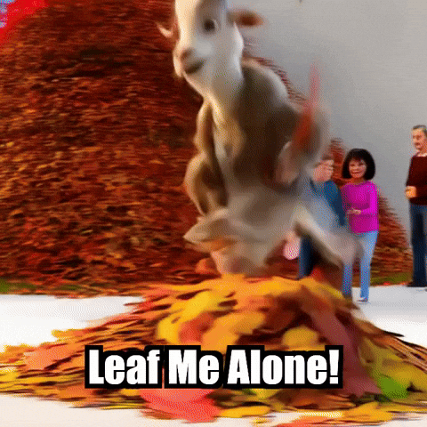 Fall Autumn GIF by Radiantelope