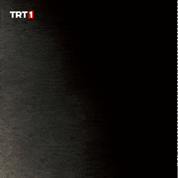 Man Hello GIF by TRT