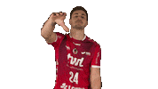Fail Handball-Bundesliga Sticker by LIQUI MOLY HBL